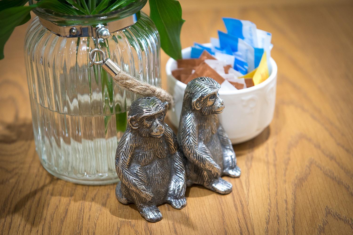 Bed and Breakfast Darwin'S Townhouse Shrewsbury Exterior foto Silver monkey salt and pepper shakers