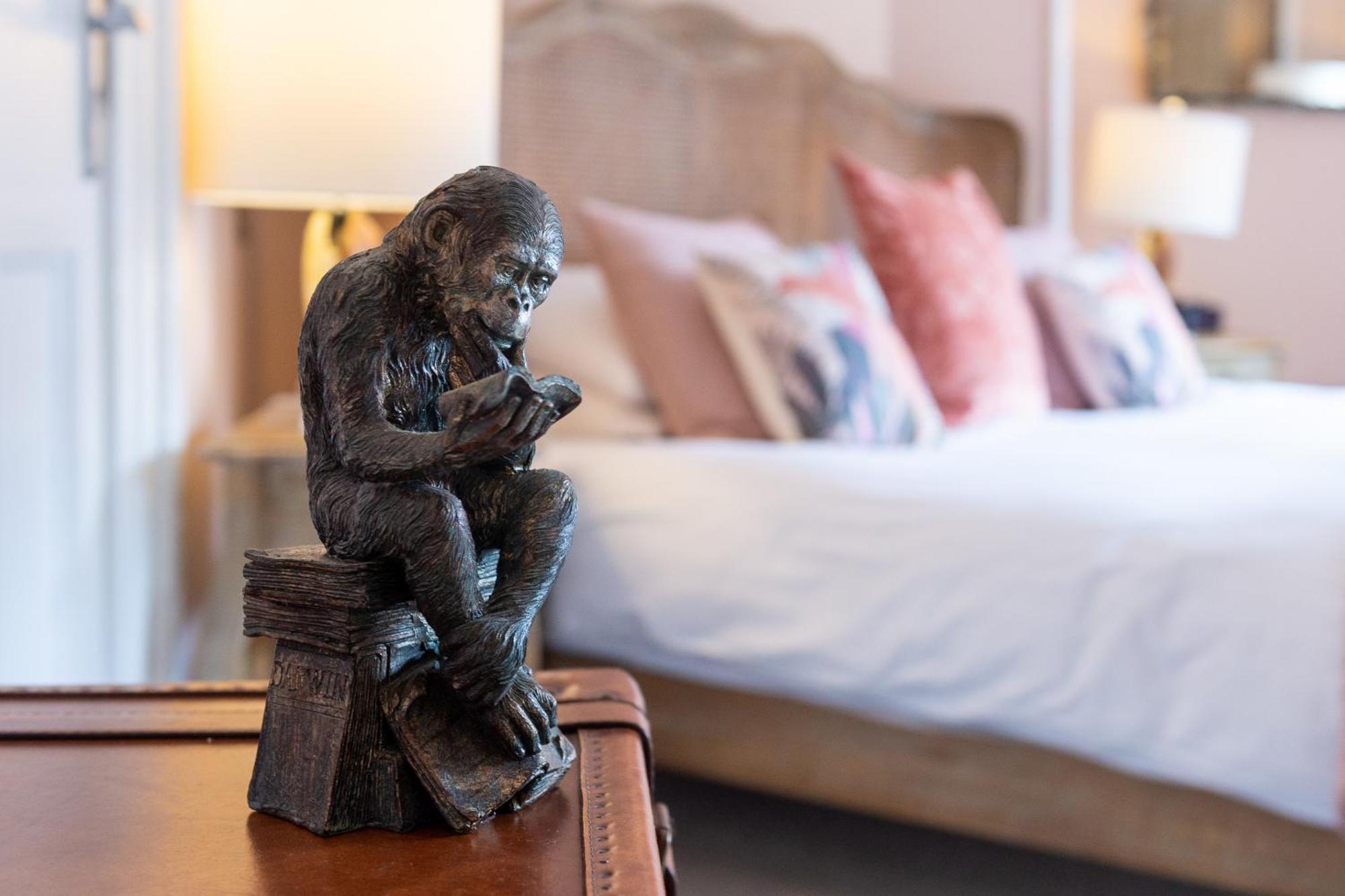 Bed and Breakfast Darwin'S Townhouse Shrewsbury Zimmer foto A sculpture of a monkey sitting on a suitcase