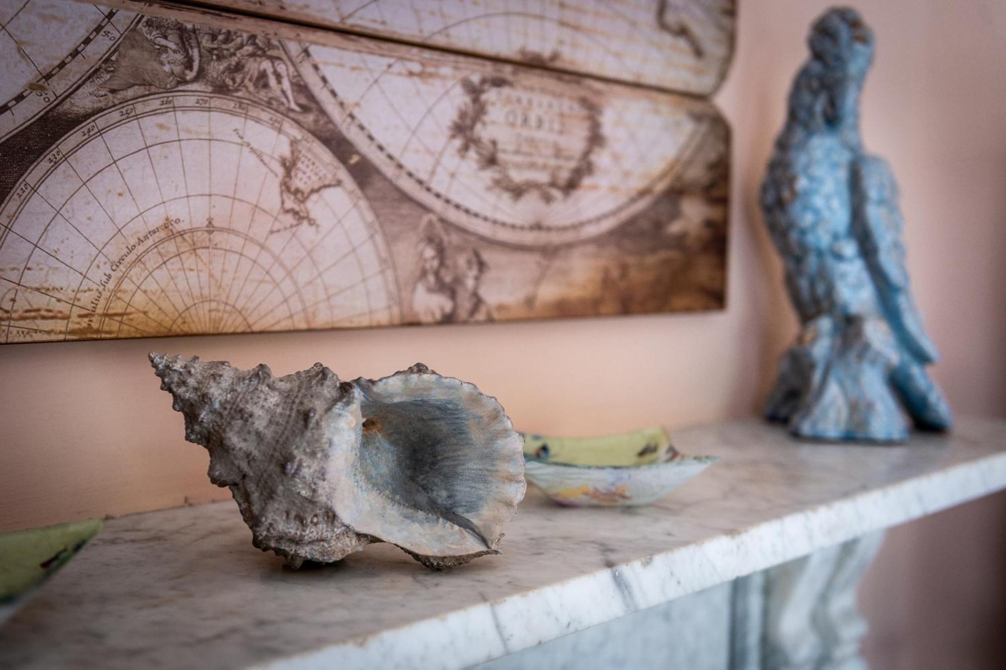 Bed and Breakfast Darwin'S Townhouse Shrewsbury Zimmer foto A conch shell
